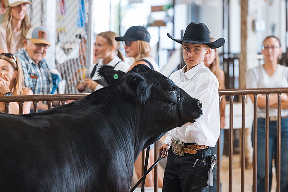 DAY5BEEFSHOWMANSHIP87