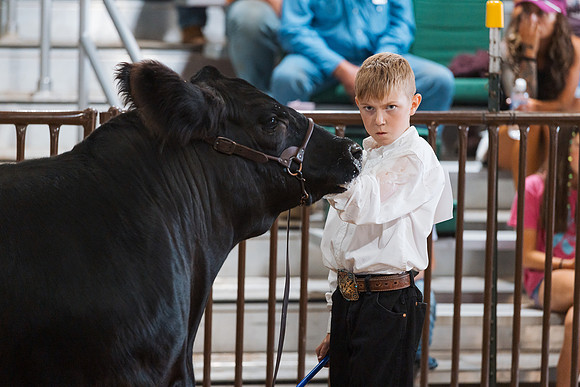 DAY5BEEFSHOWMANSHIP88