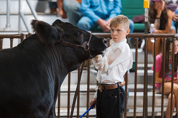 DAY5BEEFSHOWMANSHIP89