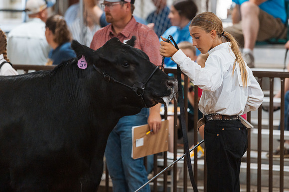 DAY5BEEFSHOWMANSHIP90