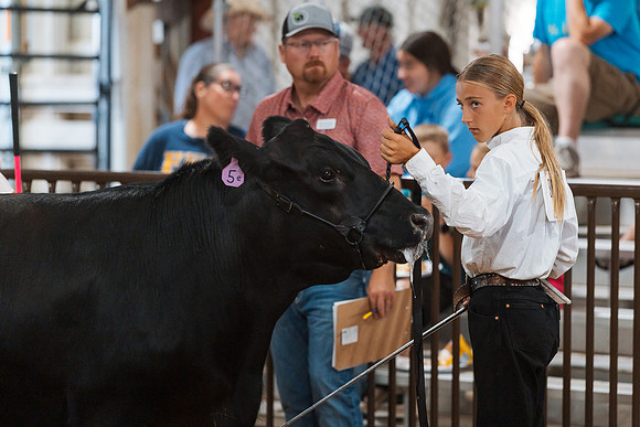 DAY5BEEFSHOWMANSHIP91