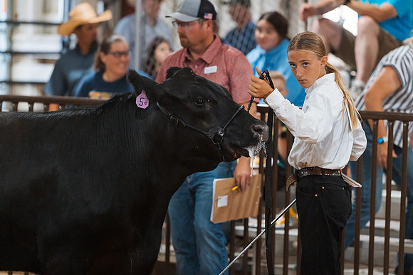 DAY5BEEFSHOWMANSHIP92