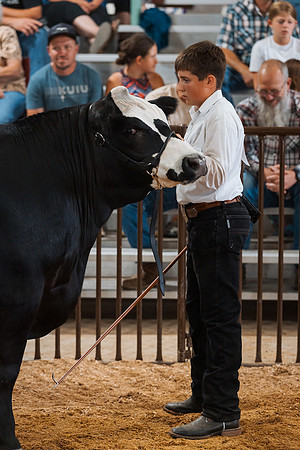 DAY5BEEFSHOWMANSHIP93