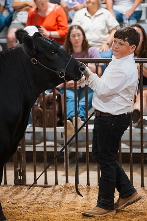 DAY5BEEFSHOWMANSHIP94