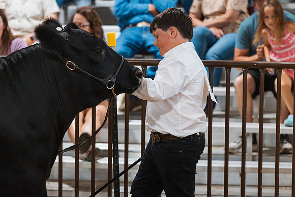 DAY5BEEFSHOWMANSHIP95