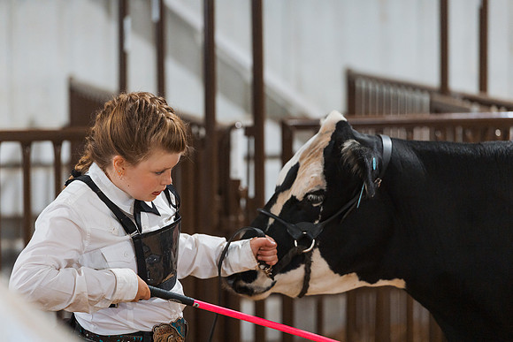 DAY5BEEFSHOWMANSHIP96