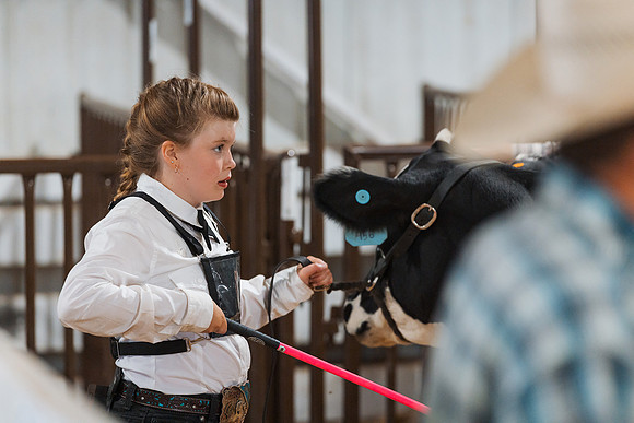DAY5BEEFSHOWMANSHIP97