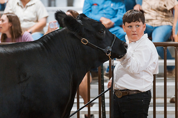 DAY5BEEFSHOWMANSHIP98