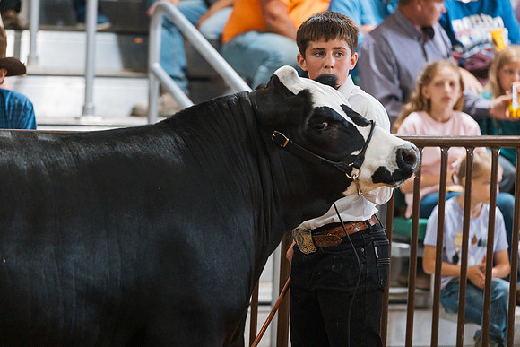 DAY5BEEFSHOWMANSHIP99