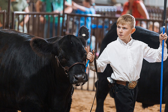 DAY5BEEFSHOWMANSHIP100