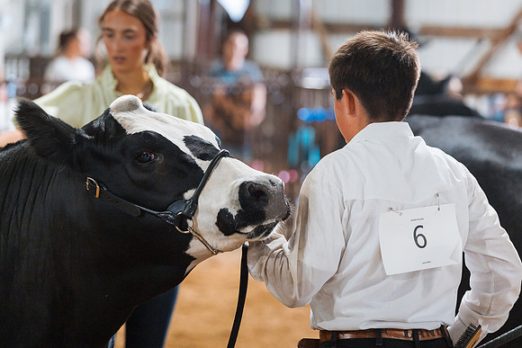 DAY5BEEFSHOWMANSHIP101