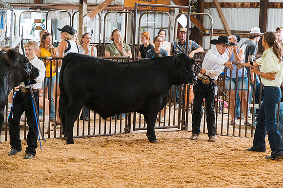 DAY5BEEFSHOWMANSHIP104