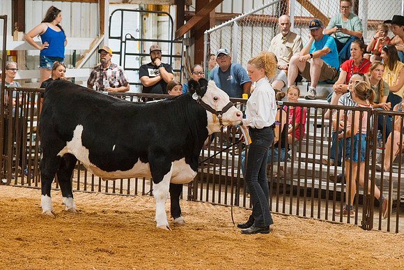 DAY5BEEFSHOWMANSHIP105