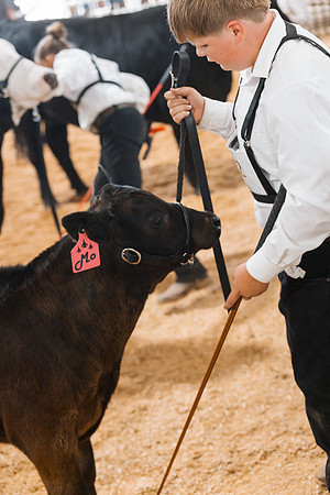 DAY5BEEFSHOWMANSHIP111