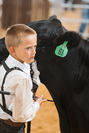 DAY5BEEFSHOWMANSHIP112