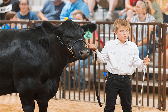 DAY5BEEFSHOWMANSHIP110