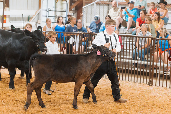 DAY5BEEFSHOWMANSHIP108