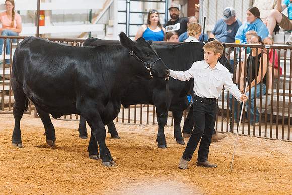 DAY5BEEFSHOWMANSHIP109