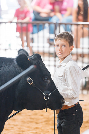 DAY5BEEFSHOWMANSHIP114