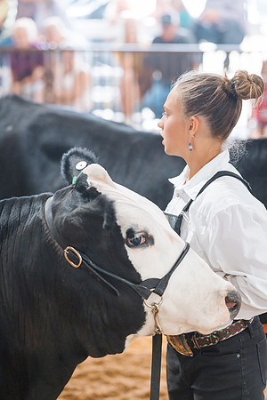 DAY5BEEFSHOWMANSHIP113