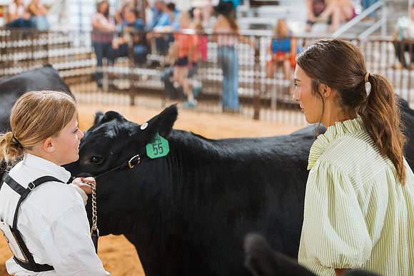 DAY5BEEFSHOWMANSHIP116