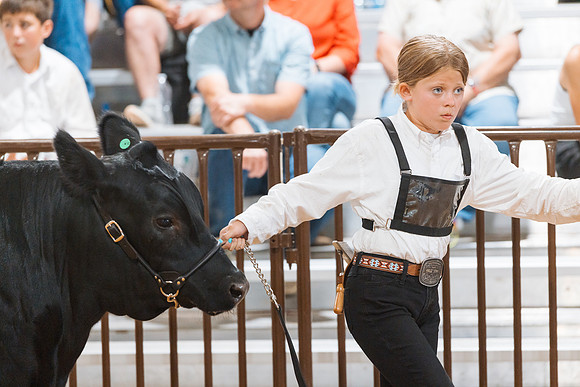DAY5BEEFSHOWMANSHIP120