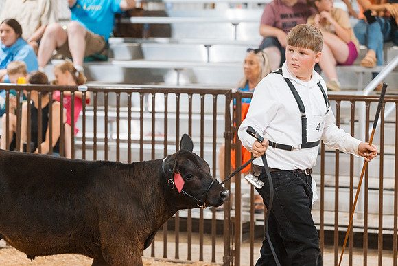 DAY5BEEFSHOWMANSHIP121