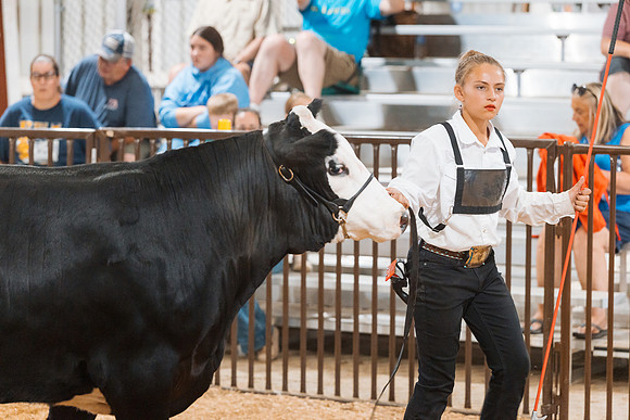 DAY5BEEFSHOWMANSHIP122