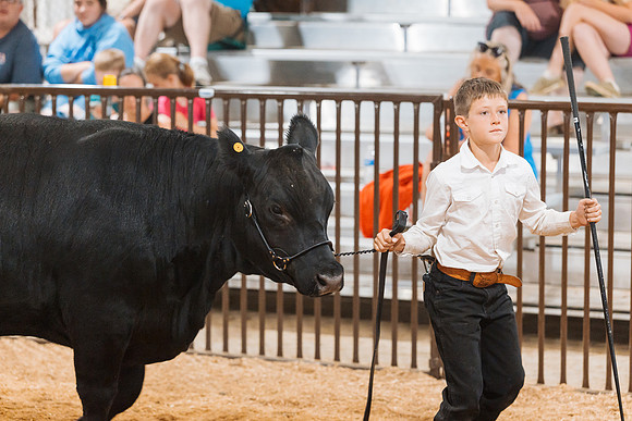 DAY5BEEFSHOWMANSHIP123