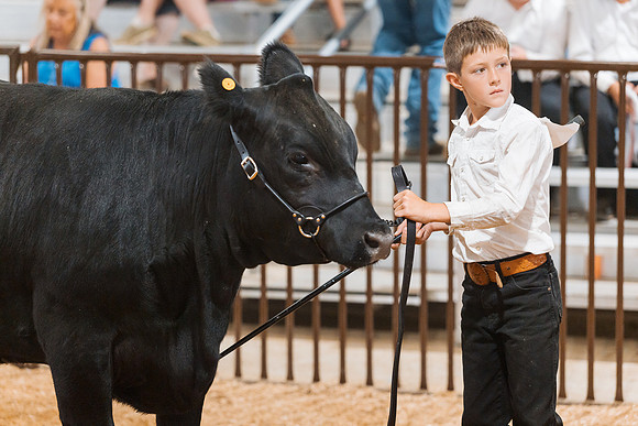 DAY5BEEFSHOWMANSHIP124