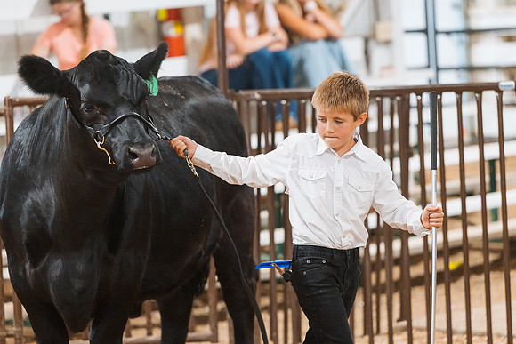 DAY5BEEFSHOWMANSHIP125