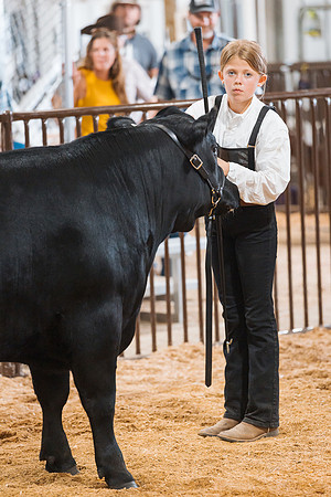 DAY5BEEFSHOWMANSHIP127