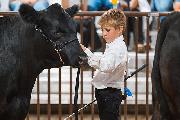 DAY5BEEFSHOWMANSHIP130