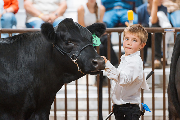 DAY5BEEFSHOWMANSHIP129