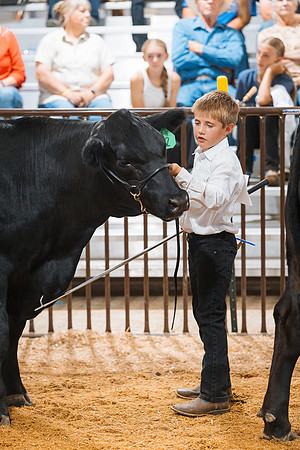 DAY5BEEFSHOWMANSHIP128