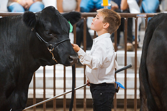 DAY5BEEFSHOWMANSHIP131