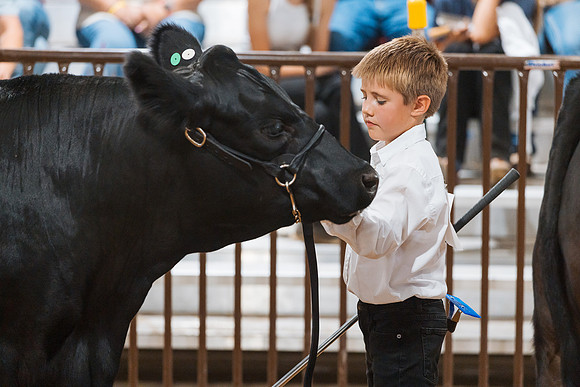 DAY5BEEFSHOWMANSHIP132