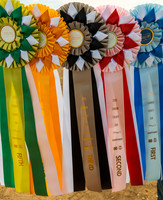 2026 Carbon County Fair
