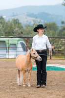 Day 3 - Horse Show