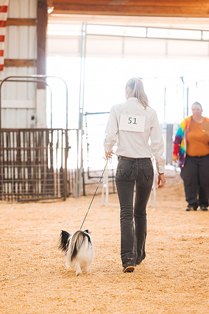 DAY2DOGSHOW29