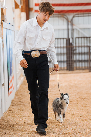DAY2DOGSHOW31
