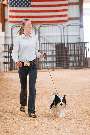 DAY2DOGSHOW30