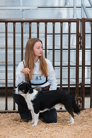 DAY2DOGSHOW33