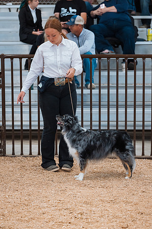 DAY2DOGSHOW35