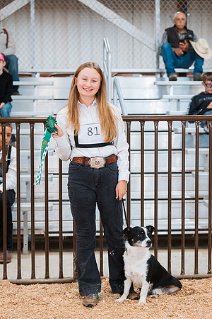 DAY2DOGSHOW40