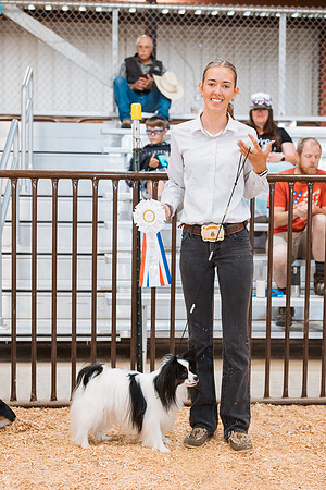 DAY2DOGSHOW43