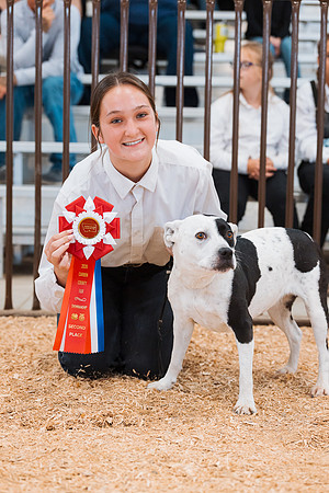 DAY2DOGSHOW44