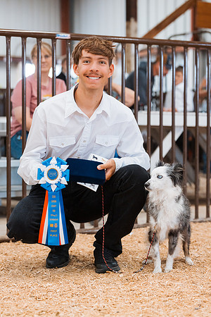DAY2DOGSHOW45
