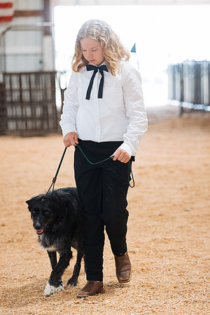 DAY2DOGSHOW49
