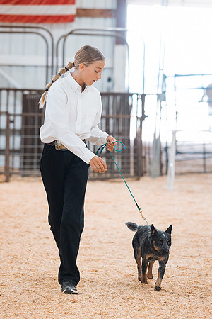 DAY2DOGSHOW51